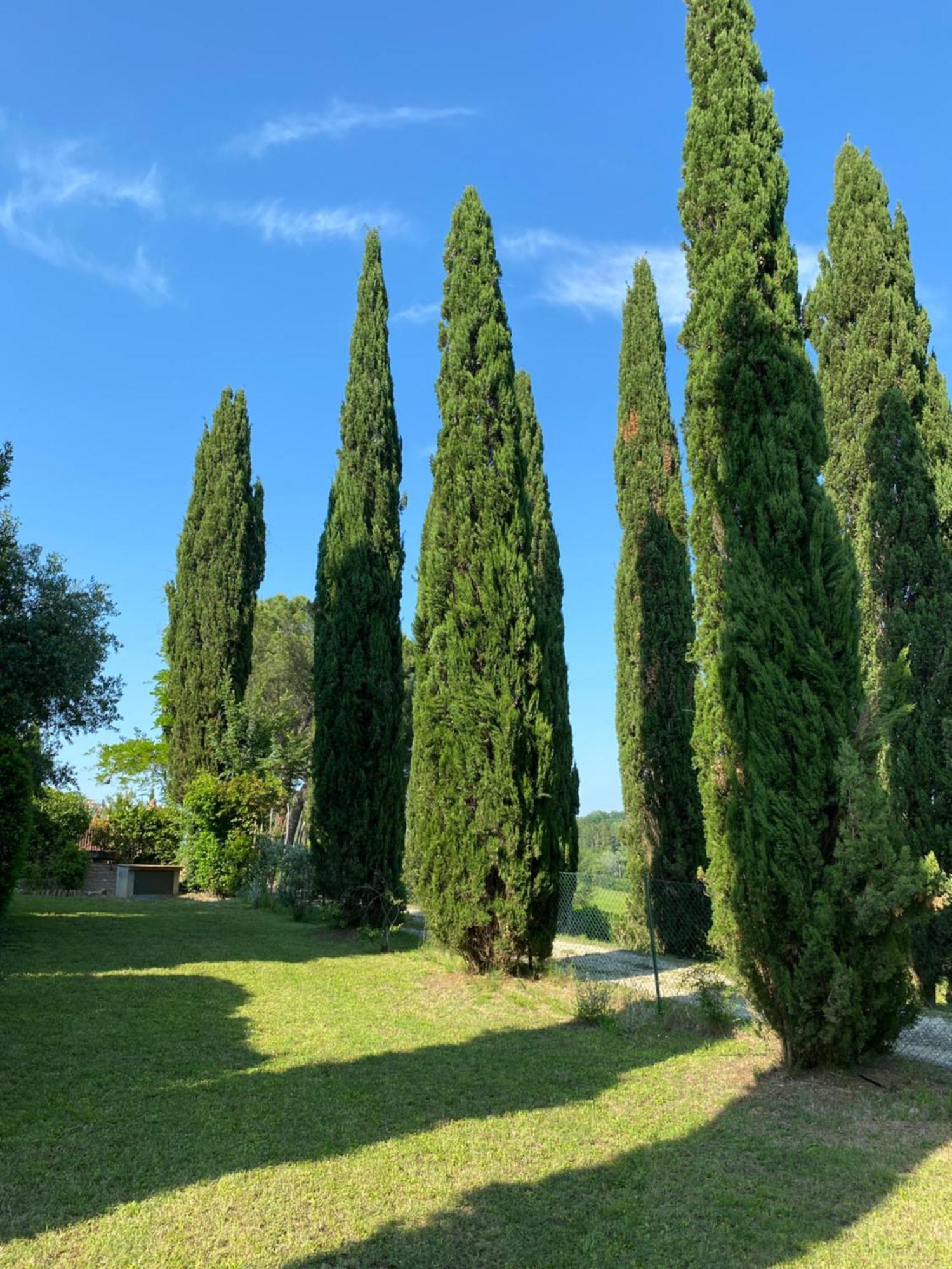 Villa Tre Colli - In The Heart Of Tuscany เชร์ตาลโด ภายนอก รูปภาพ