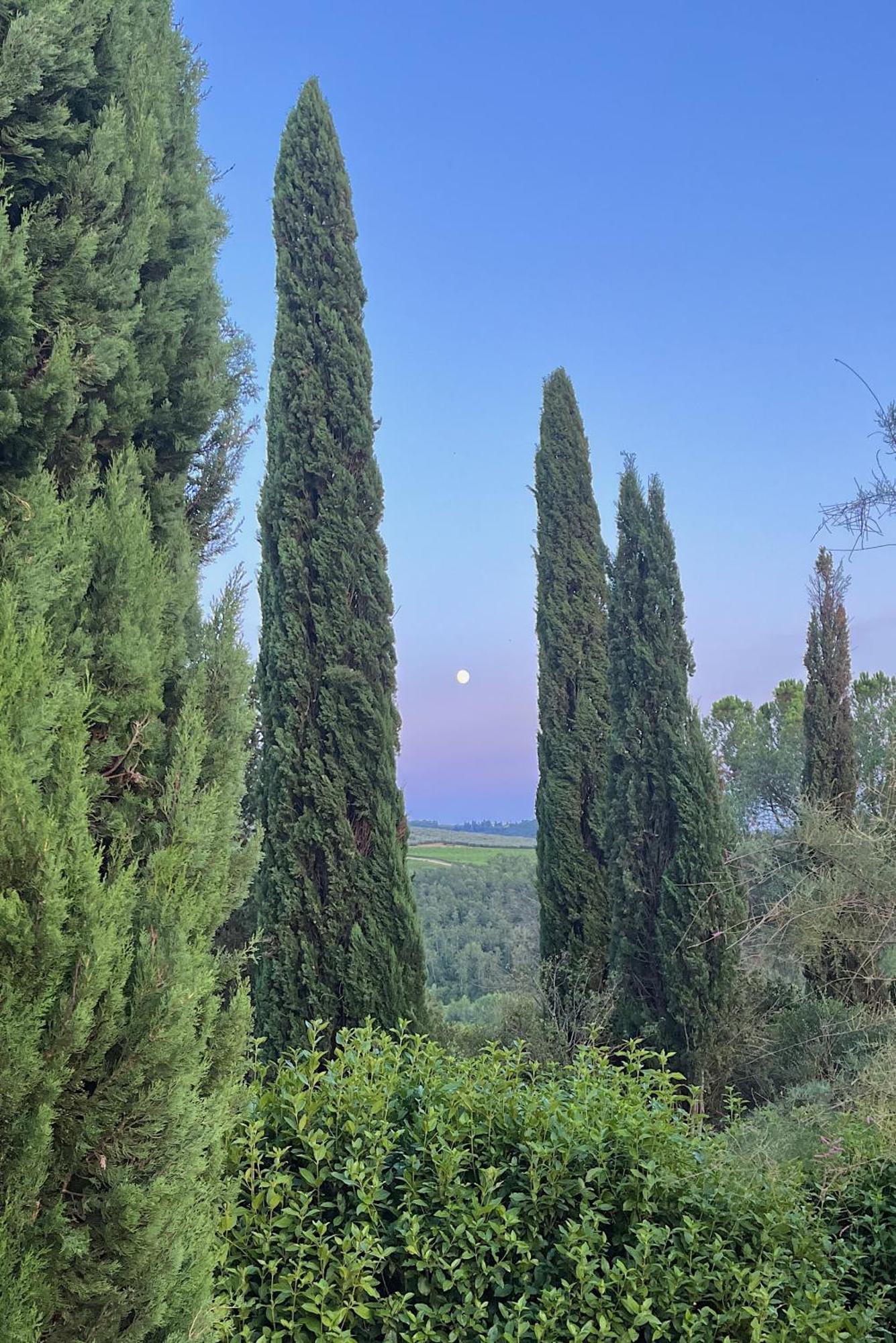 Villa Tre Colli - In The Heart Of Tuscany เชร์ตาลโด ภายนอก รูปภาพ